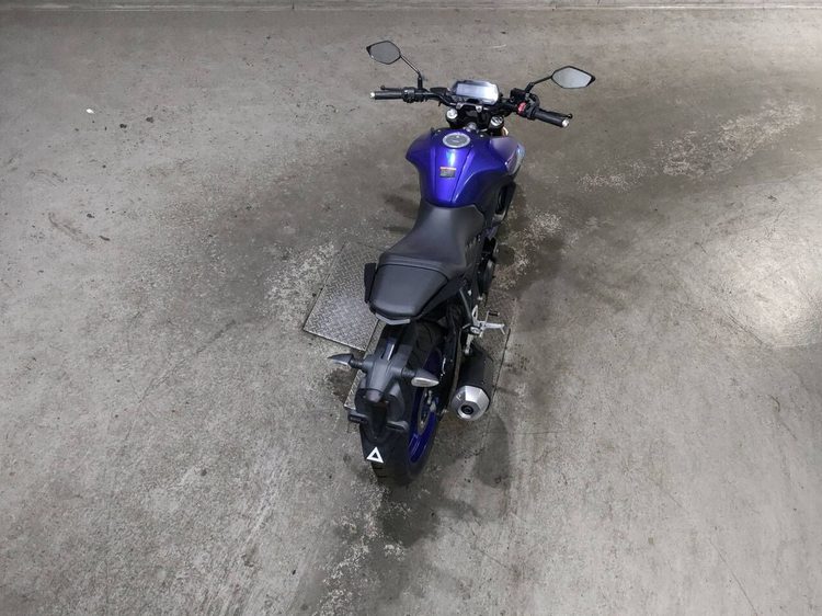Yamaha MT 125, 2024