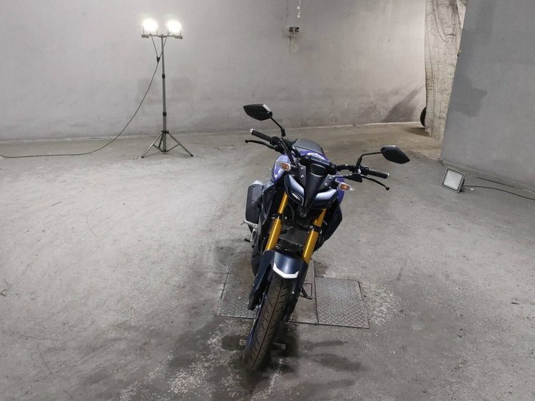Yamaha MT 125, 2024